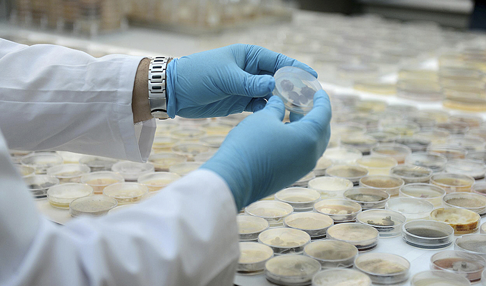 Apoyan organismos lucha contra la resistencia a los antimicrobianos