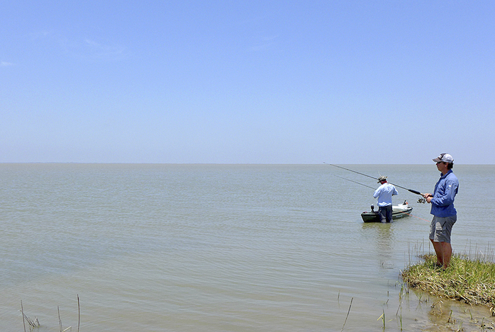 La Contraloría de Texas se asocia con Texas A&M  para evaluación del ecosistema