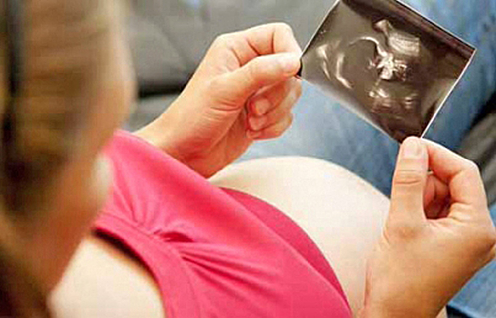 Prolactina, hormona clave para la implantación del embrión en el útero