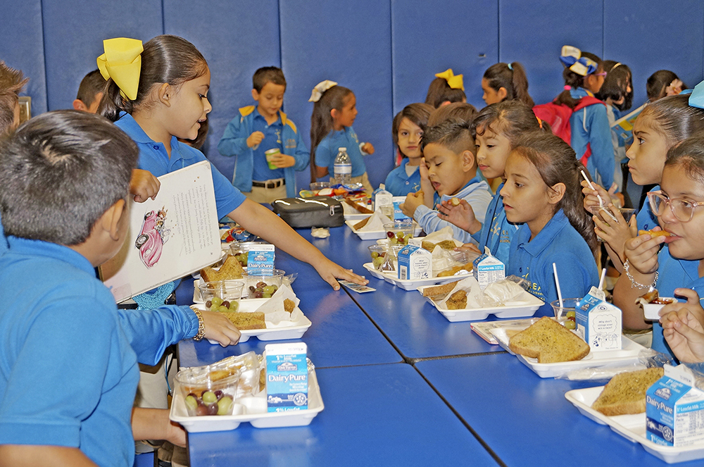 Aprenden a estudiar y a nutrirse