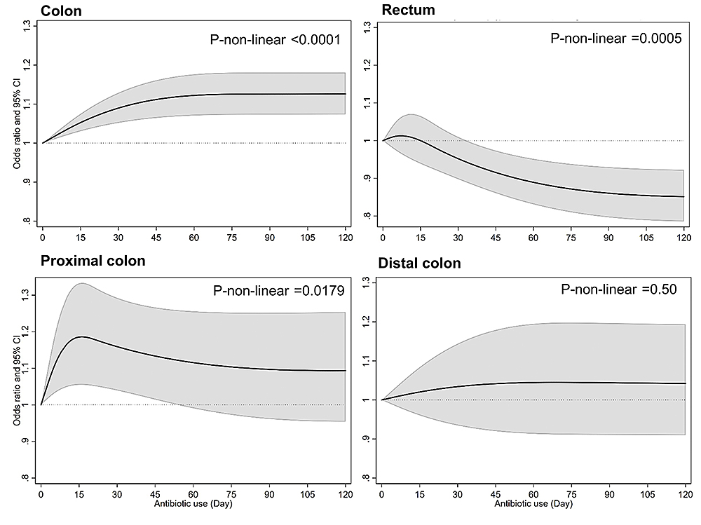 Antibióticos vinculados a mayor riesgo de cáncer de colon