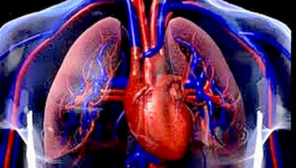 Alertan efectos graves en sistema respiratorio humano por nanoplásticos