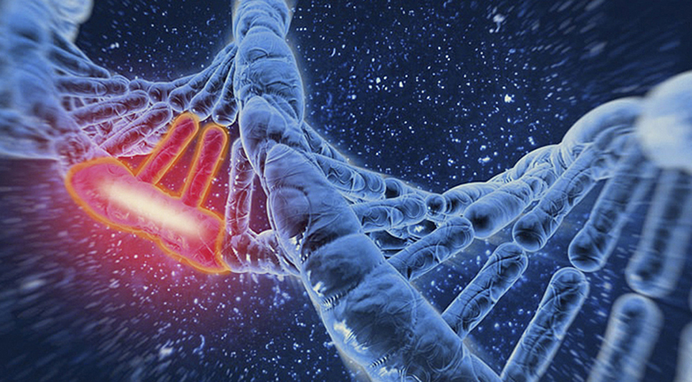 Variantes genéticas ayudarán a nuevos medicamentos contra obesidad