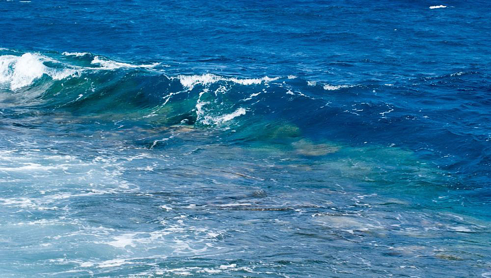 Alertan sobre frecuencia de altas temperaturas en los mares
