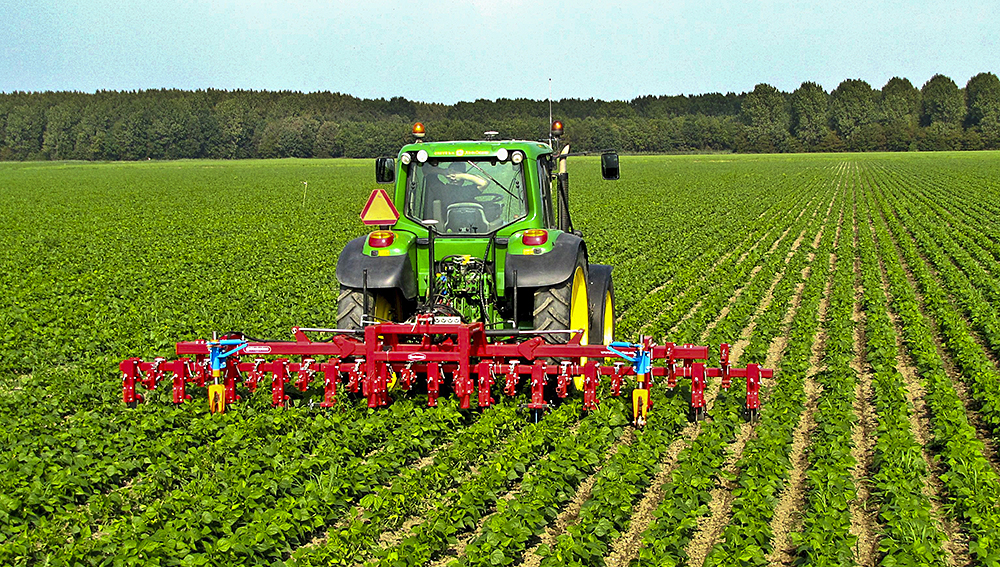 McAllen será sede de la Conferencia Nacional de Trabajadores Agrícolas 2020