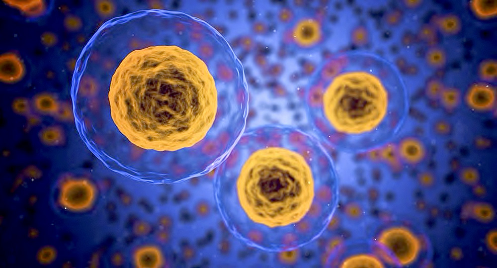 Desarrollan método que administra quimioterapia sólo a células malignas