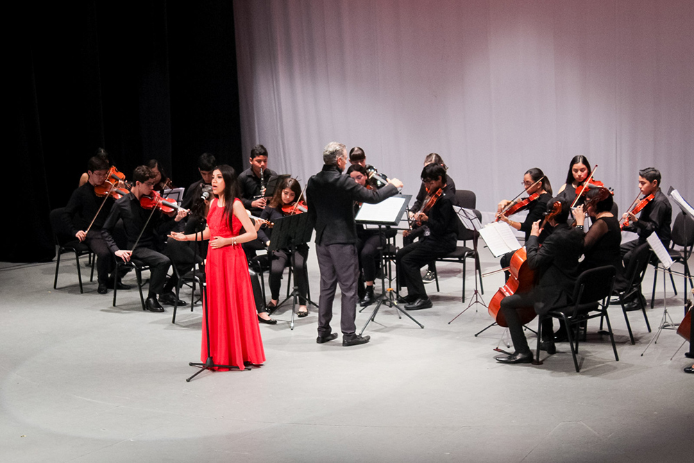 Festival artístico universitario del Amor y la Amistad