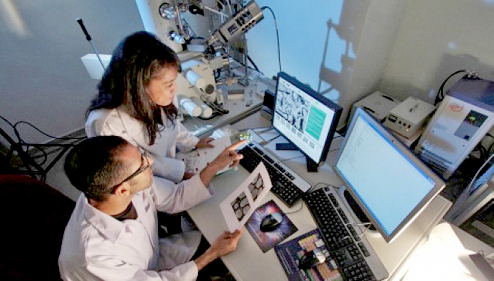 Encuentran proteína que suprime metástasis de cáncer de mama