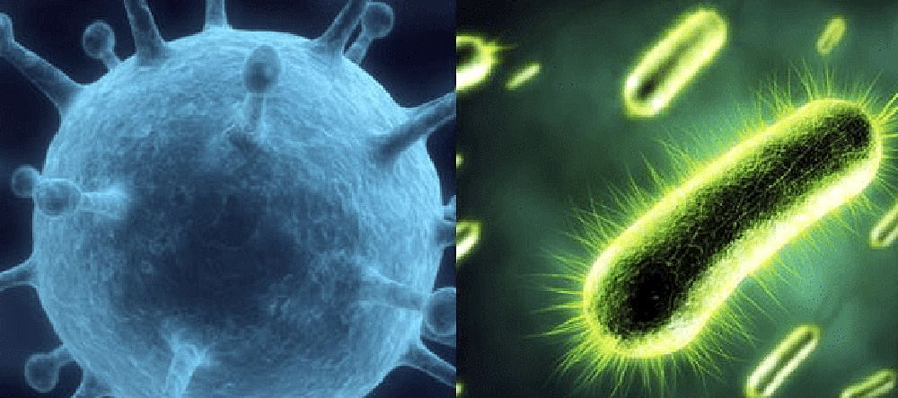 Molécula predice riesgo de mortalidad en personas con mal arterial