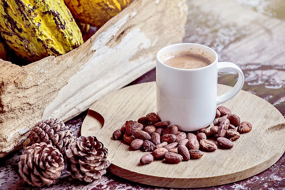 Bebida de cacao podría ayudar a mejorar salud muscular