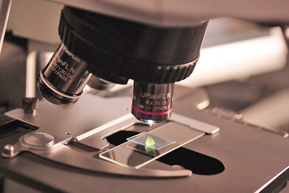 Científicos descubren segunda cepa de COVID-19