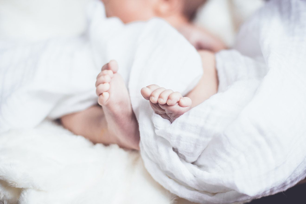 Hipo, clave para el desarrollo cerebral de los bebés