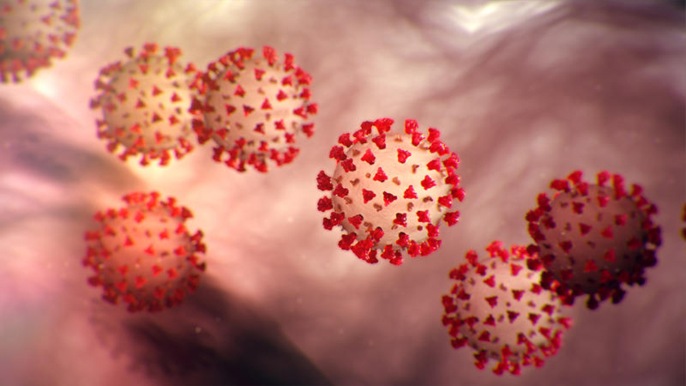 Reportan cerca de 200 mil muertes por Coronavirus en todo el mundo