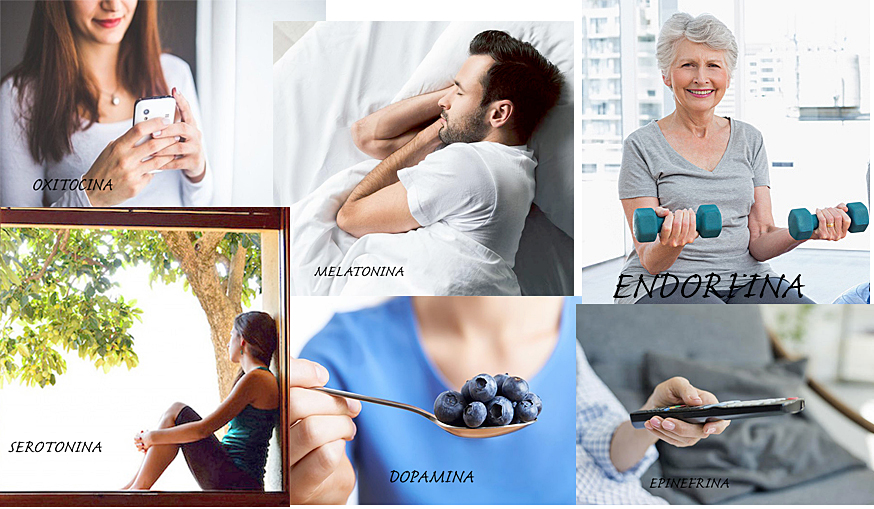 Cómo estimular las hormonas de la felicidad durante el aislamiento