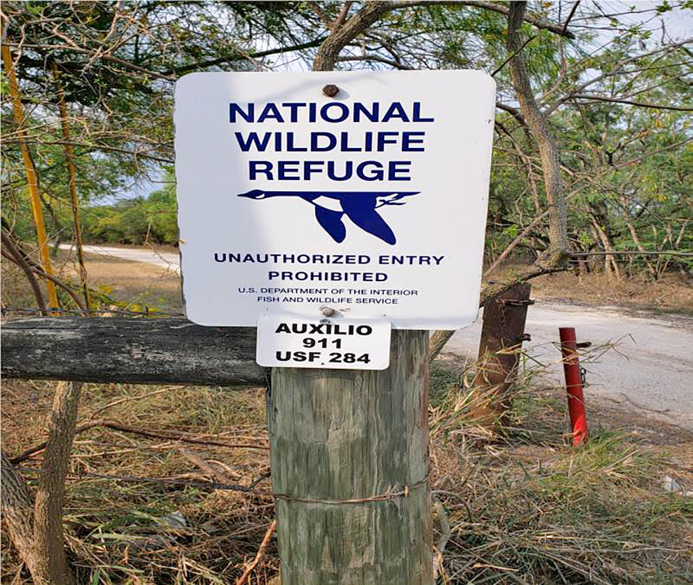 Programa de migrantes desaparecidos se expande