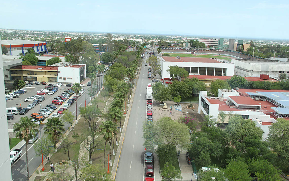 Imparten en la UAT clases de verano en línea