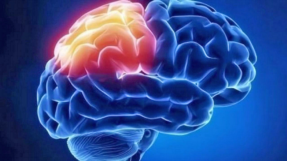 Descubren área del cerebro implicada en incontrolable ingesta de comida