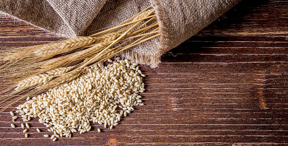 ¿Cómo cuidar la alimentación de hijos celíacos?