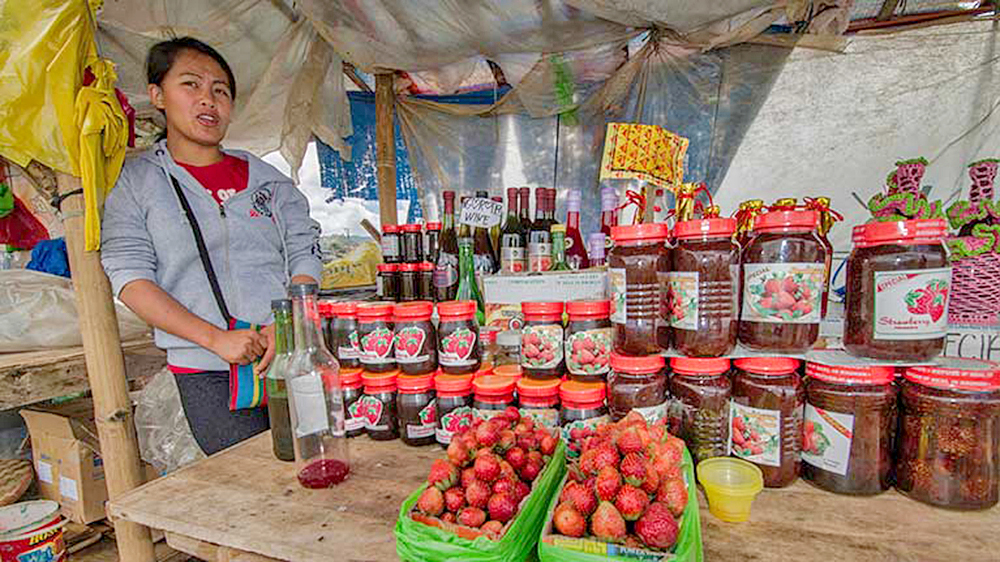 Sin trabajo, uno de cada seis jóvenes por pandemia: OIT