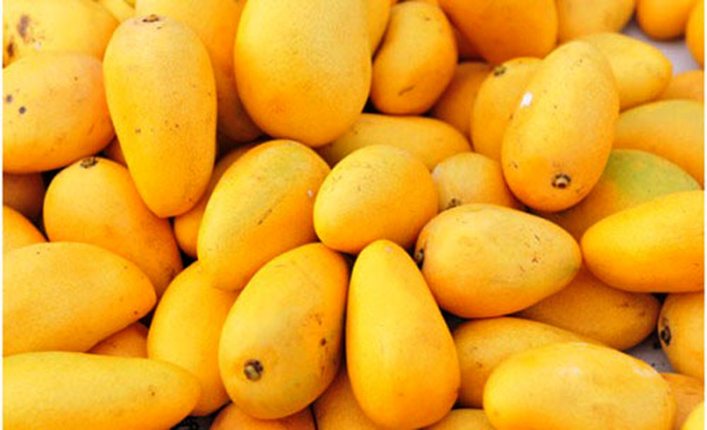 Los beneficios de consumir mango