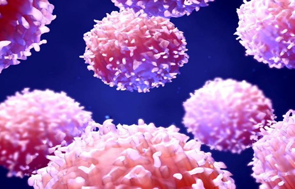 El proceso que hacen los linfocitos T para reconocer a los antígenos