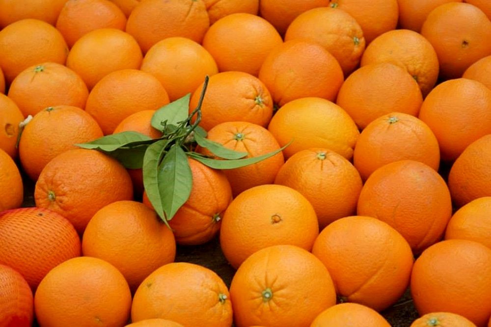 Científicos descubren sustancia en naranja que reduciría obesidad