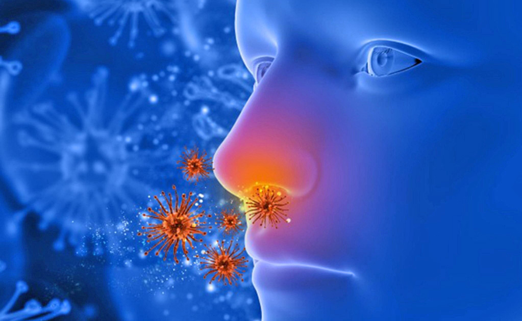 Conozca los tipos de rinitis