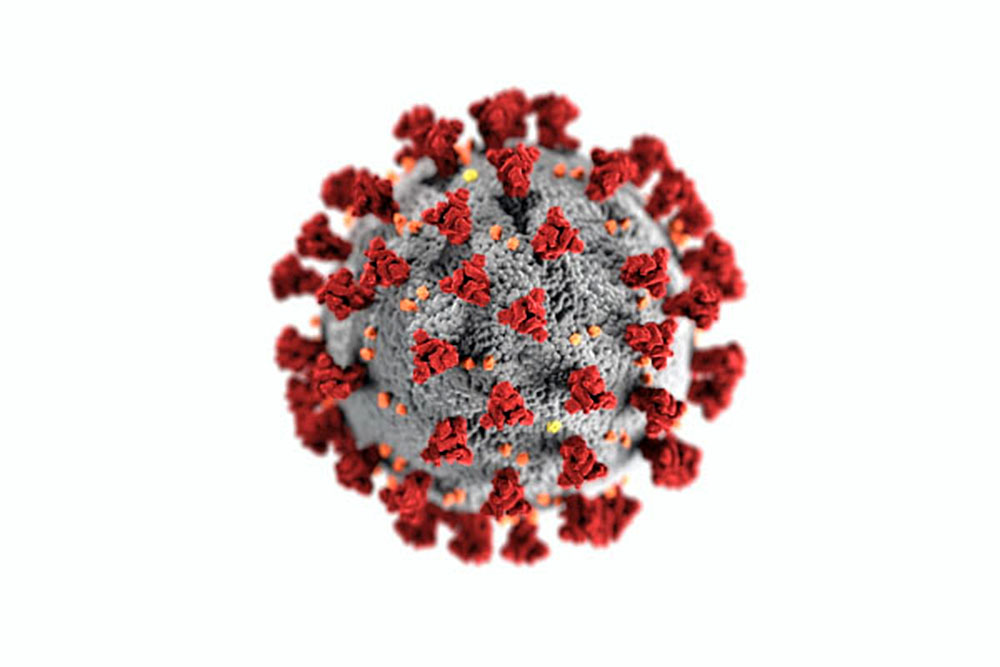 Secuencia genómica podría ayudar a disminuir contagios en segunda ola de Covid-19