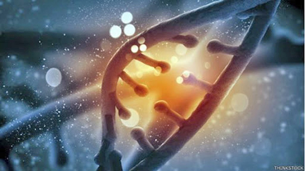 Terapia genética podría evitar obesidad y tratar osteoartritis