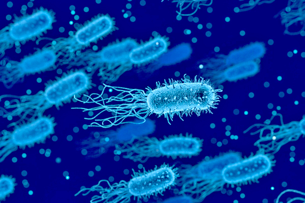 Científicos descubren virus con material genético desconocido