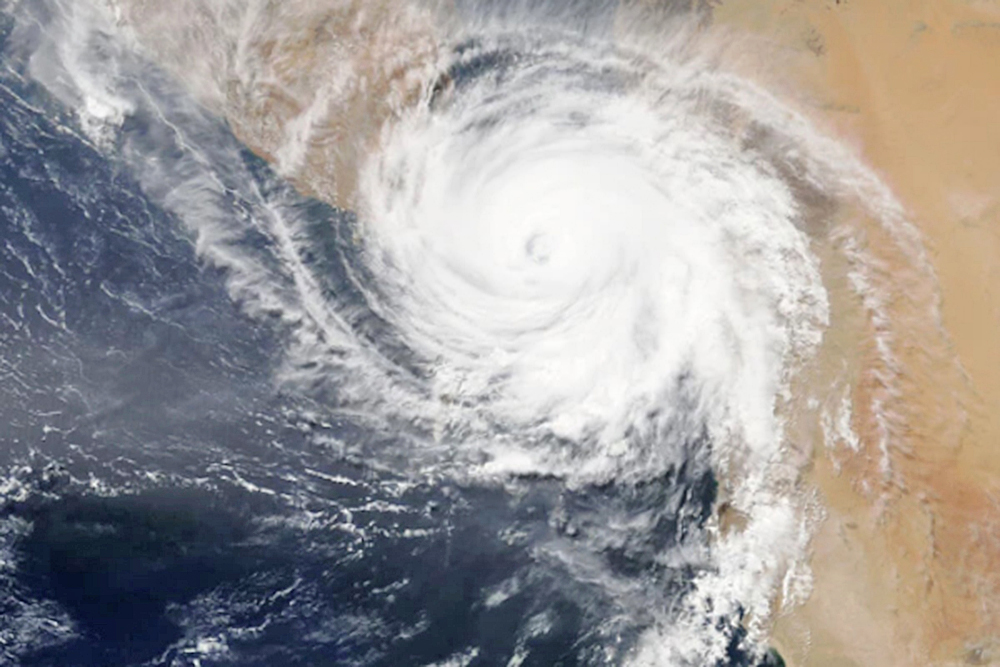 Stanford desarrolla modelo probabilístico para predecir eventos biológicos extremos