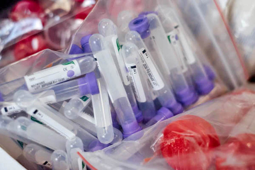 Cuáles son las investigaciones científicas más recientes en torno al coronavirus