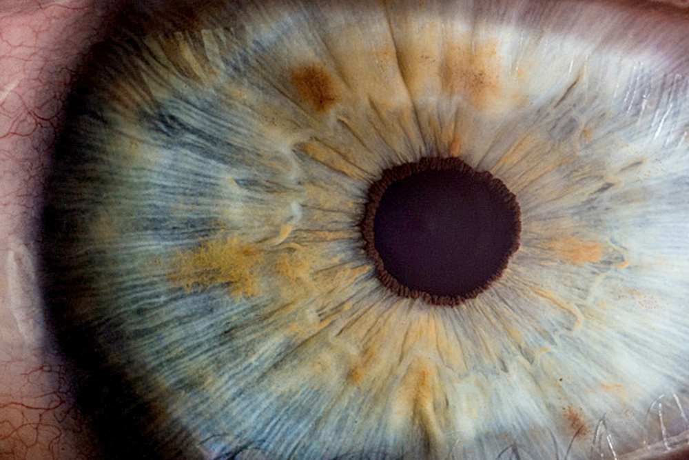 Científicos desarrollan ojo artificial con capacidades comparables al ojo humano