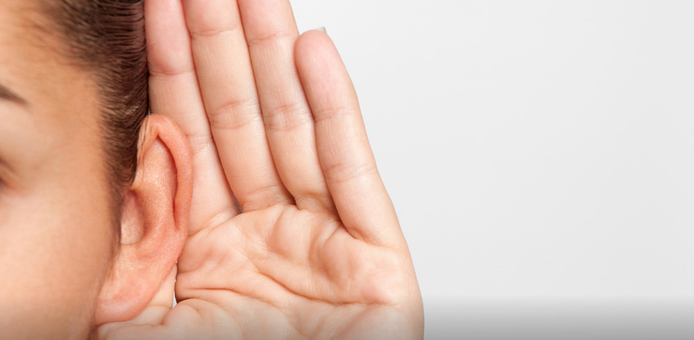 Desarrollan terapias basadas en células madre para la pérdida auditiva