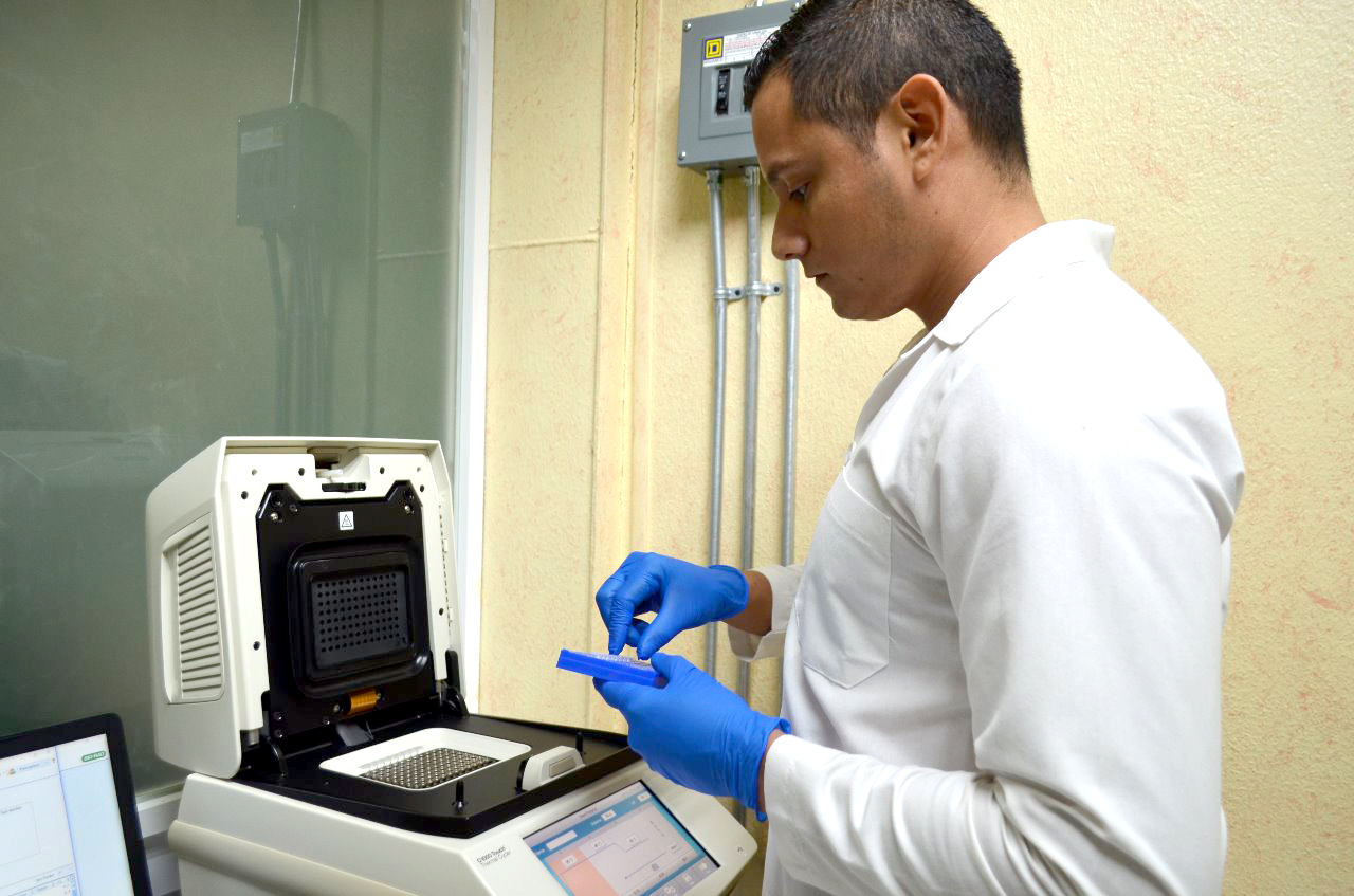 Avanzan en Tamaulipas 31 municipios a Fase III de Contingencia Sanitaria; 12 en II