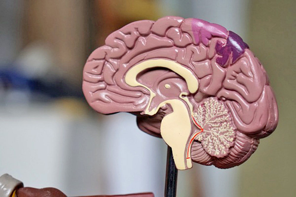 Estudio relaciona el hábito del multitasking con pérdida de memoria