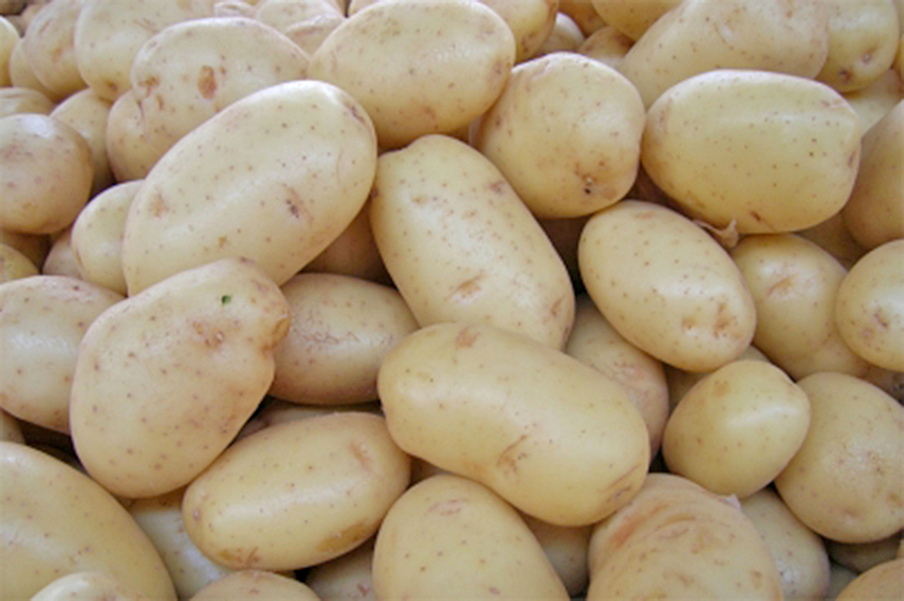 Papas podrían ser buenas para los músculos