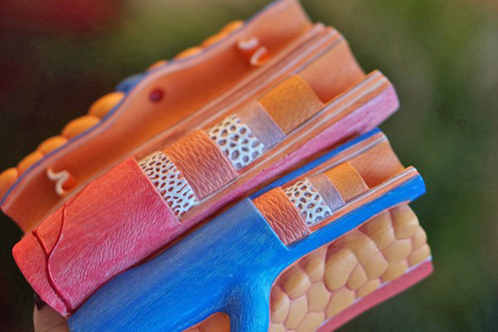 Trastornos de coagulación no controlados podrían poner en riesgo la vida del paciente