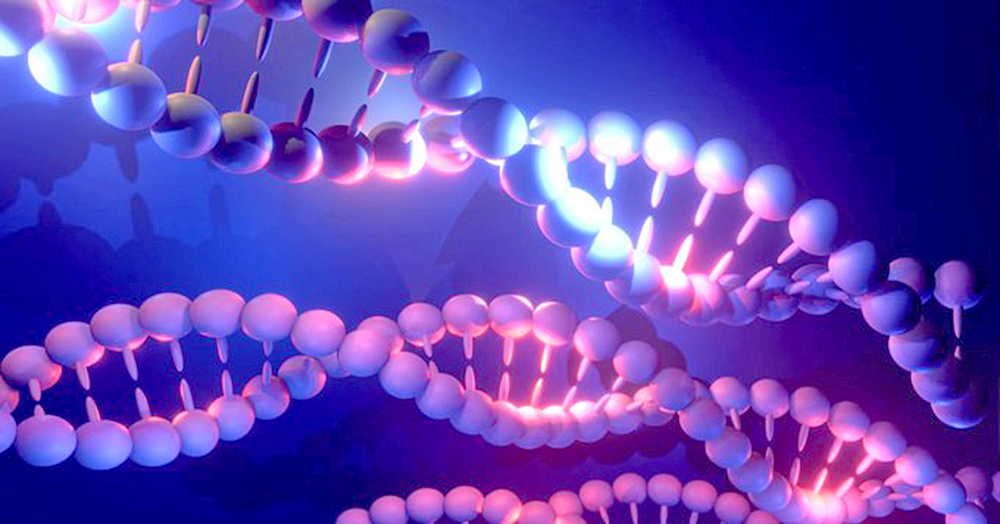 La genética no es determinante para que se desarrolle Alzheimer