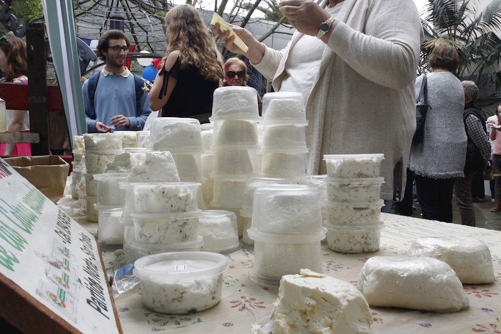 Ordenan retirar 17 productos de queso fresco estilo hispano por listeria
