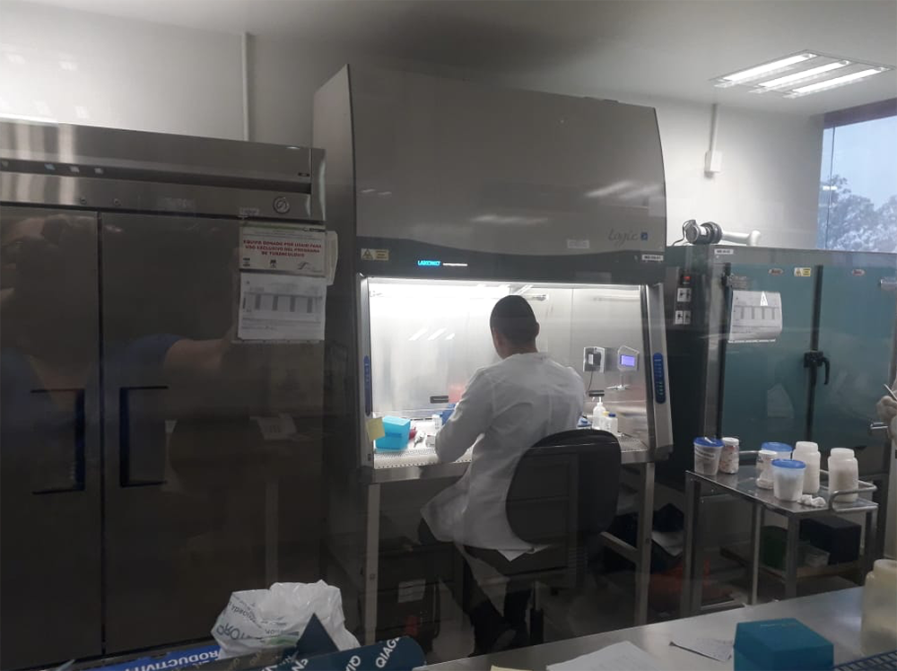 Registra Tamaulipas lento descenso de casos de COVID-19