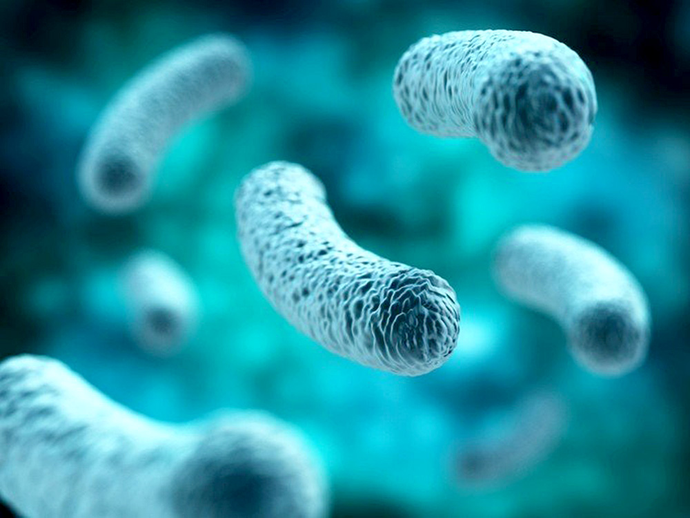 Descubren vínculo entre bacterias intestinales y causas de trastornos mentales