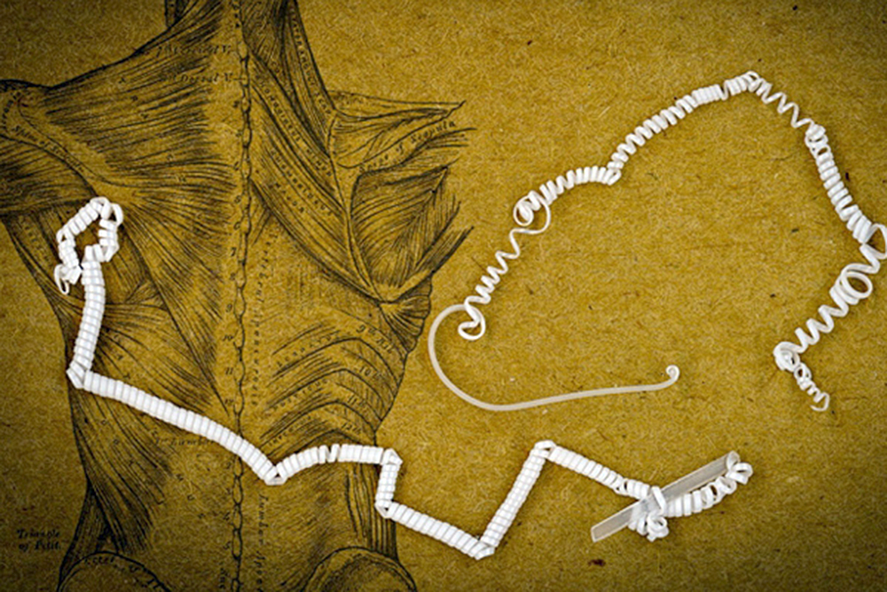 Fibras hechas por el MIT permiten crear músculos artificiales