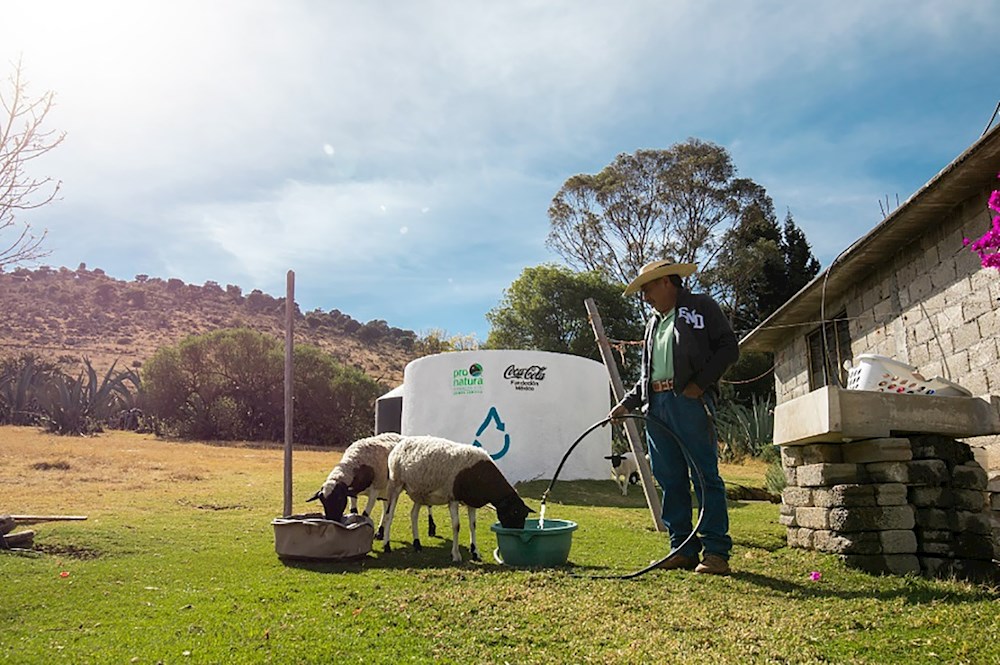 Proyectos privados contribuyen a luchar contra la escasez de agua potable