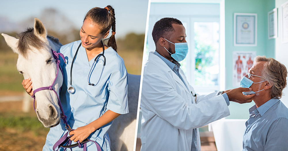 Por qué no debe utilizarse ivermectina para tratar o prevenir el COVID-19