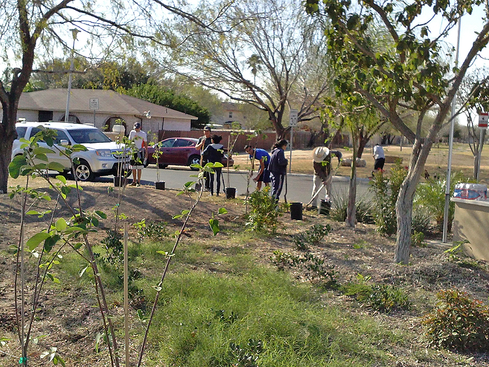“Keep McAllen Beautiful” ayudará a ancianitos después de tormenta invernal