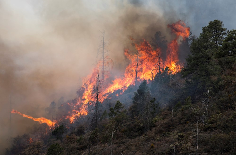 Incendio forestal en el noreste de México acumula 12.000 hectáreas afectadas