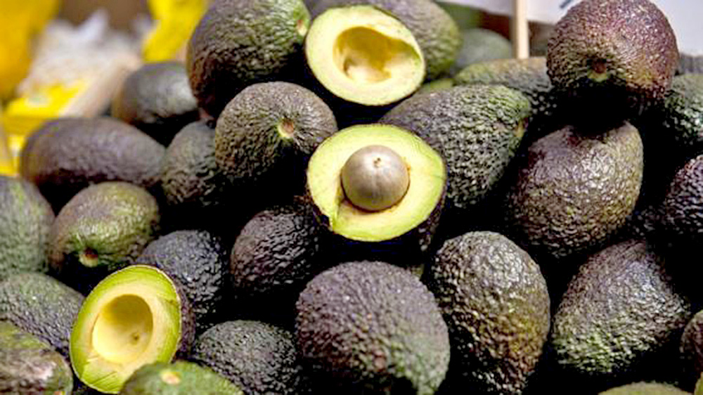 Aguacate podría mejorar capacidad de atención en personas con obesidad