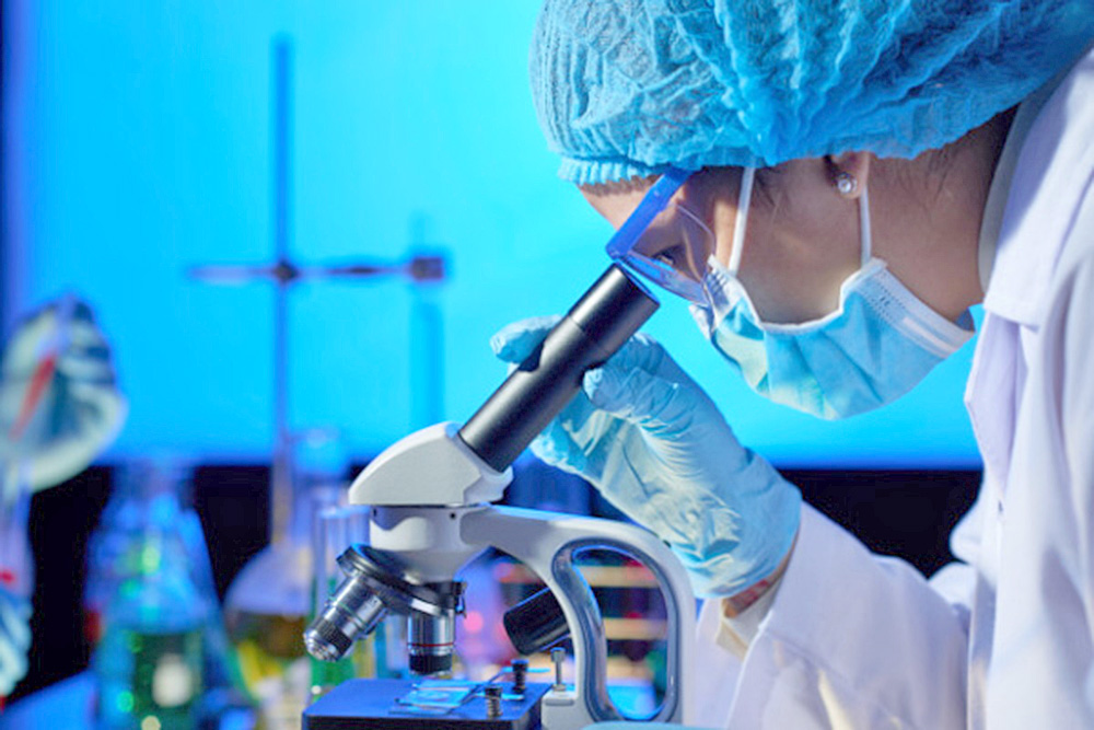 Investigación en embriones, entre el tabú y los dilemas éticos