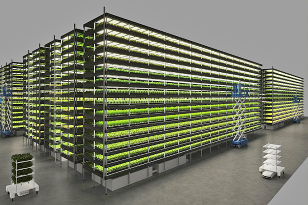 Agricultura indoor, una solución sostenible para la industria y el medio ambiente